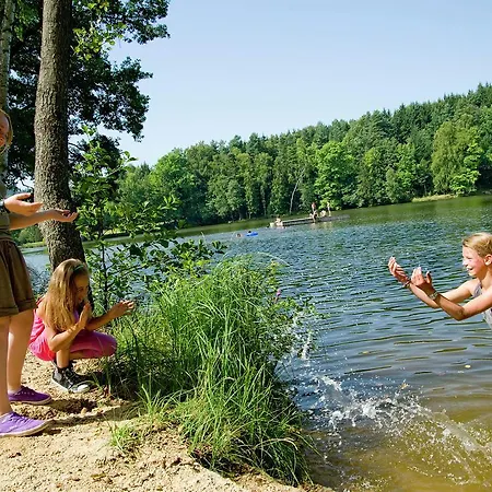 Waldviertel Holiday home Litschau